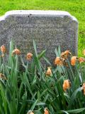 image of grave number 718787